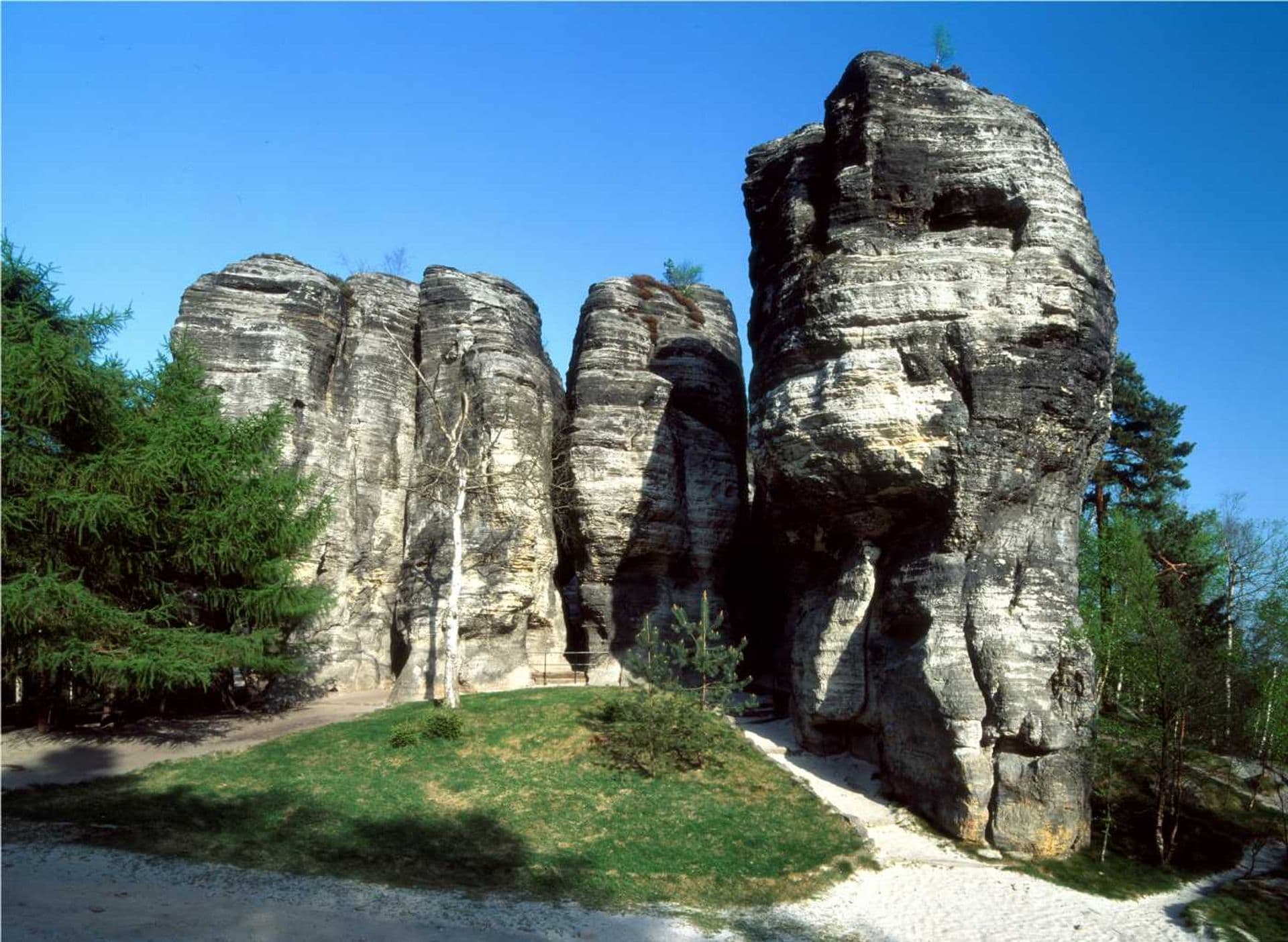 Tisá