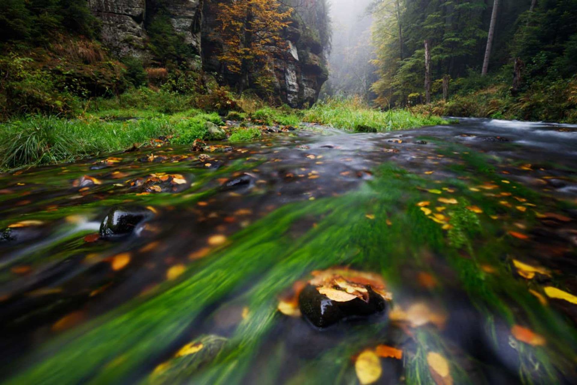 Edmundova a Divoká soutěska