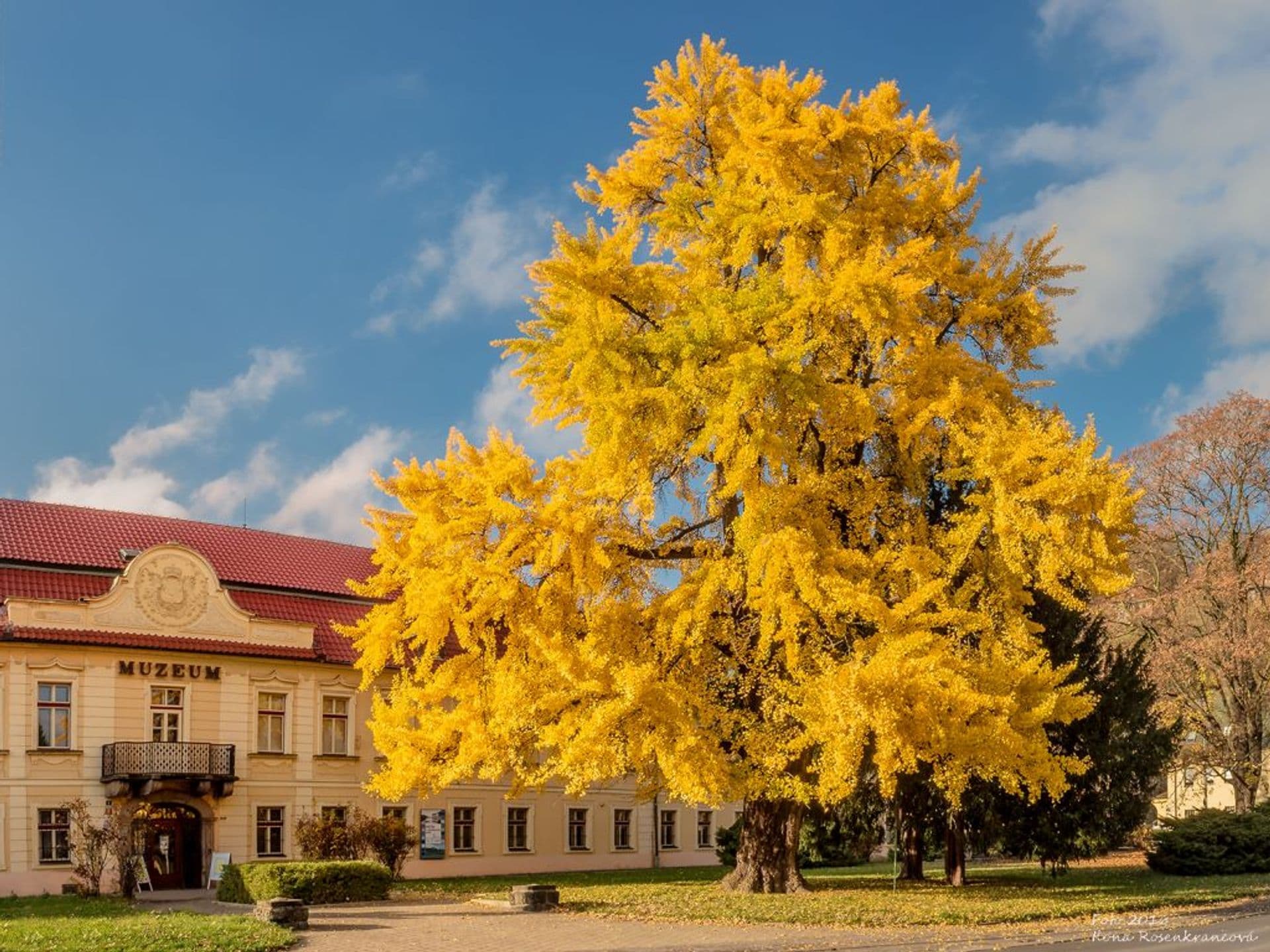 Oblastní muzeum Děčín